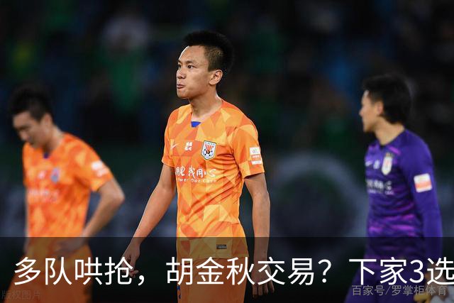 多队哄抢，胡金秋交易？下家3选1，上海热门，转会费或超张镇麟
