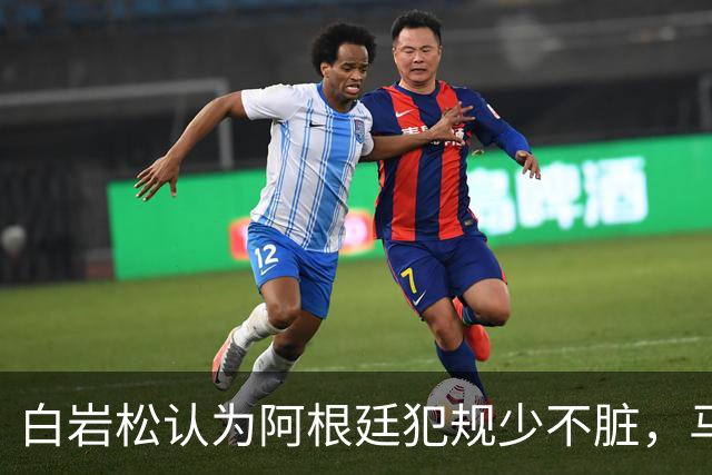 白岩松认为阿根廷犯规少不脏，马宁：我们更多是看犯规性质