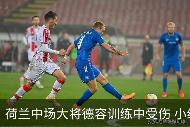 荷兰中场大将德容训练中受伤 小组赛次轮出战成疑