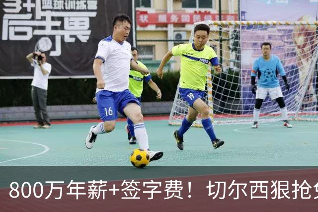 800万年薪+签字费！切尔西狠抢免签神锋，这次是捡宝还是接盘？
